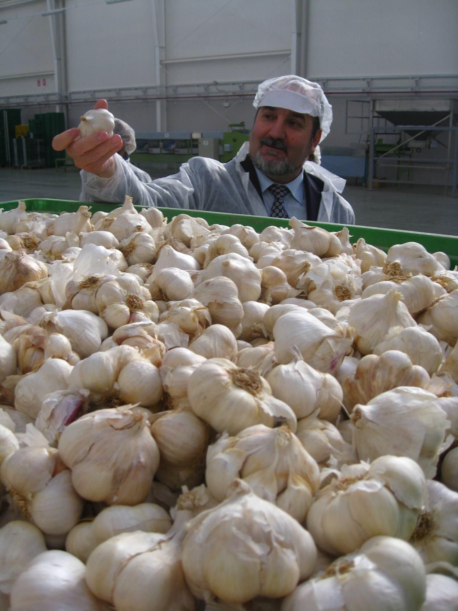 Ajos contra las cucarachas.