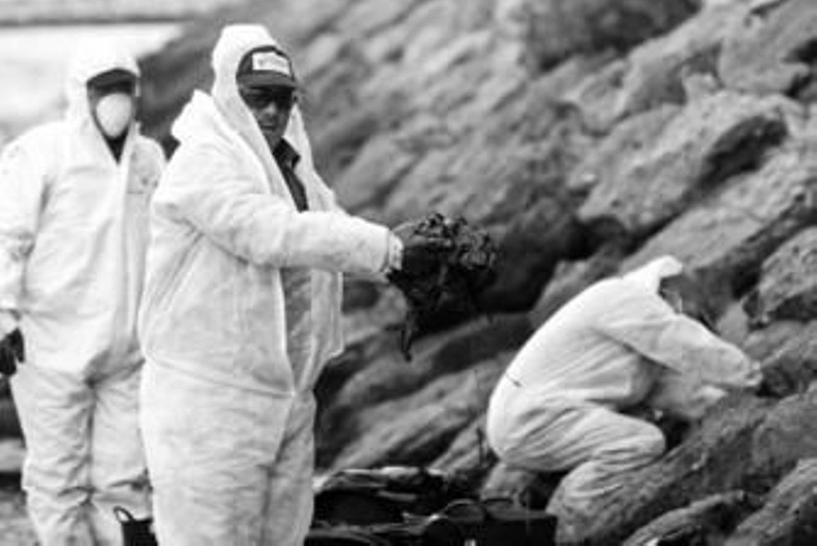 Operarios de Tragsa continuaban ayer limpiando las playas de Algeciras.