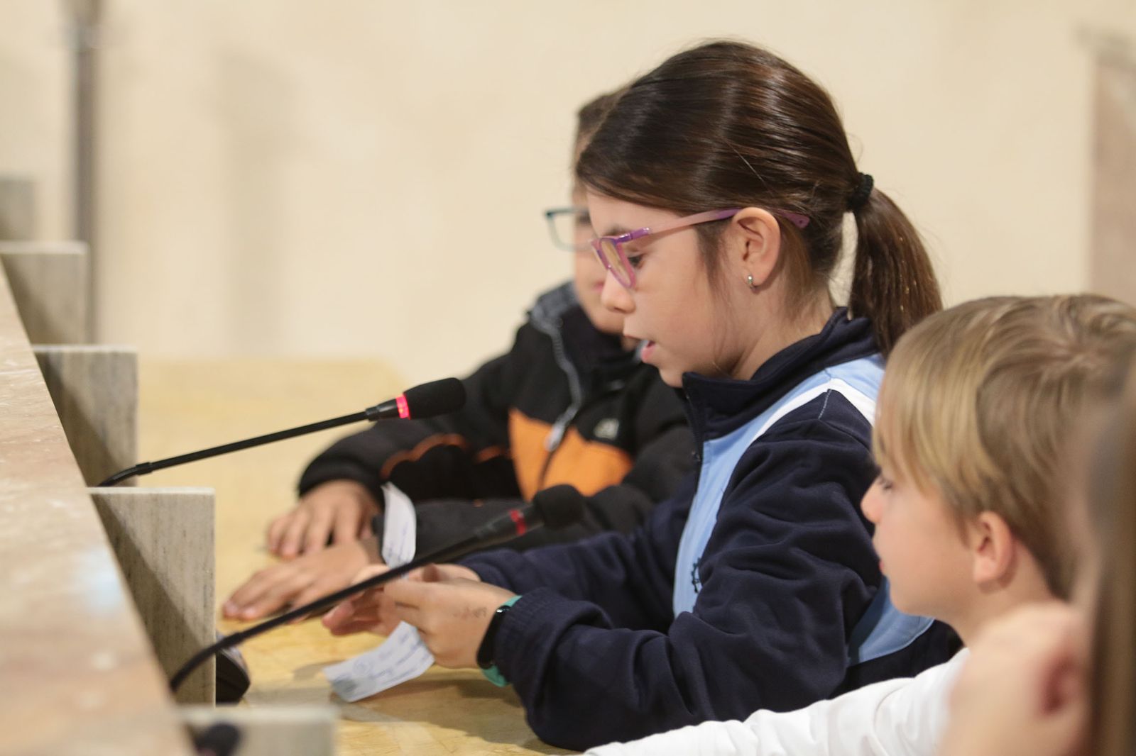 Los alumnos de la SAFA, concejales por un día