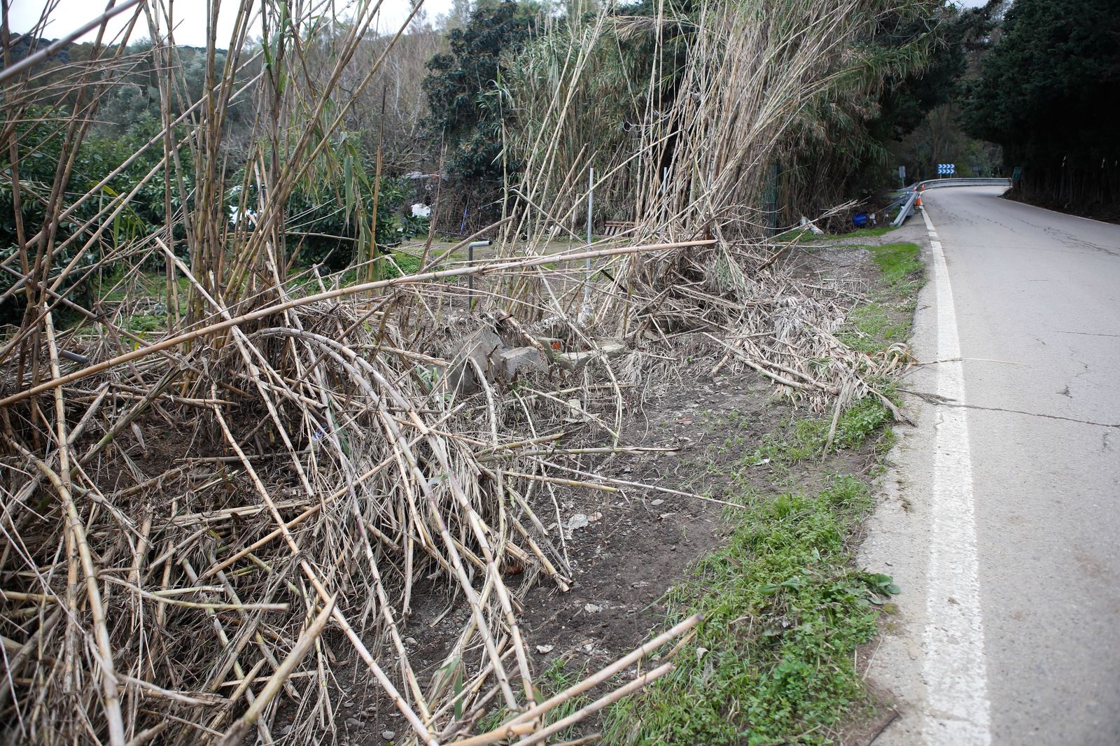 Fotos de las consecuencias de la borrasca Francis en Tesorillo y Jimena