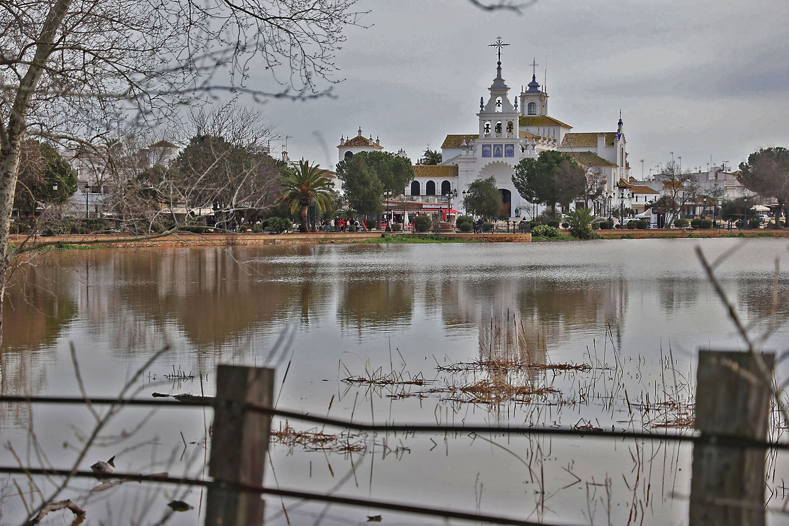 Las fotografías del ambiente en El Rocío con las peregrinaciones de las hermandades filiales
