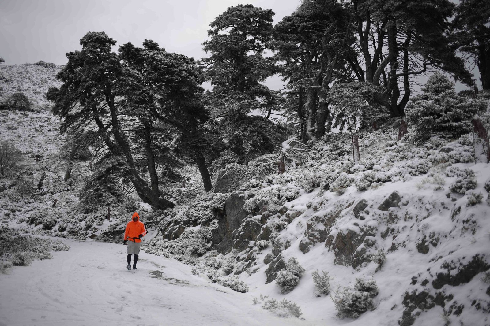 La excursiones a los parajes nevados de Málaga, en imágenes