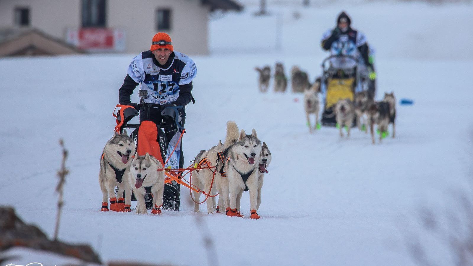 Una imagen de David Lozano con sus Huskies en tierras francesas.