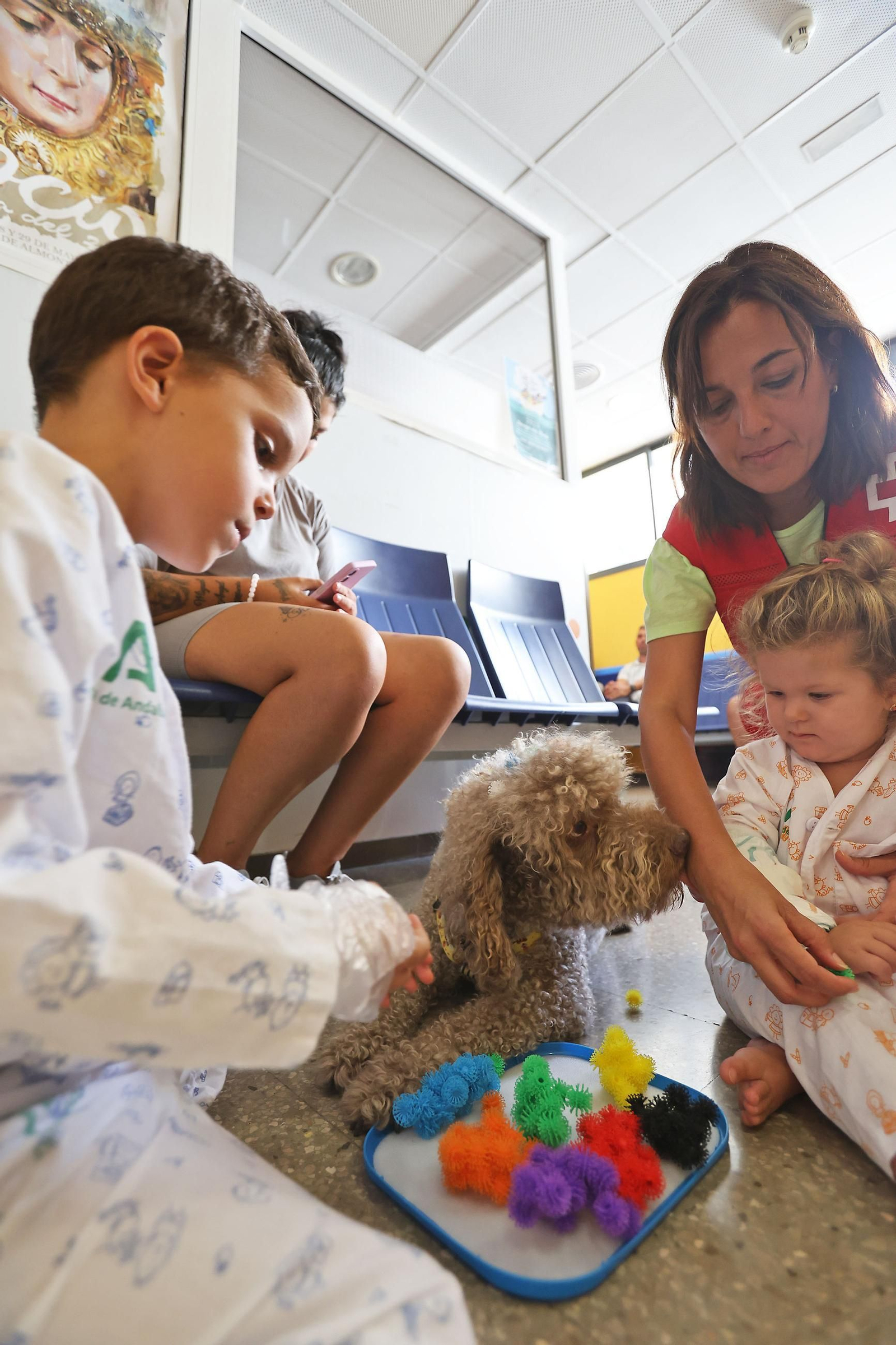 Las mejores imágenes de 'Tano', el perro que convive con los niños del hospital Juan Ramón Jiménez