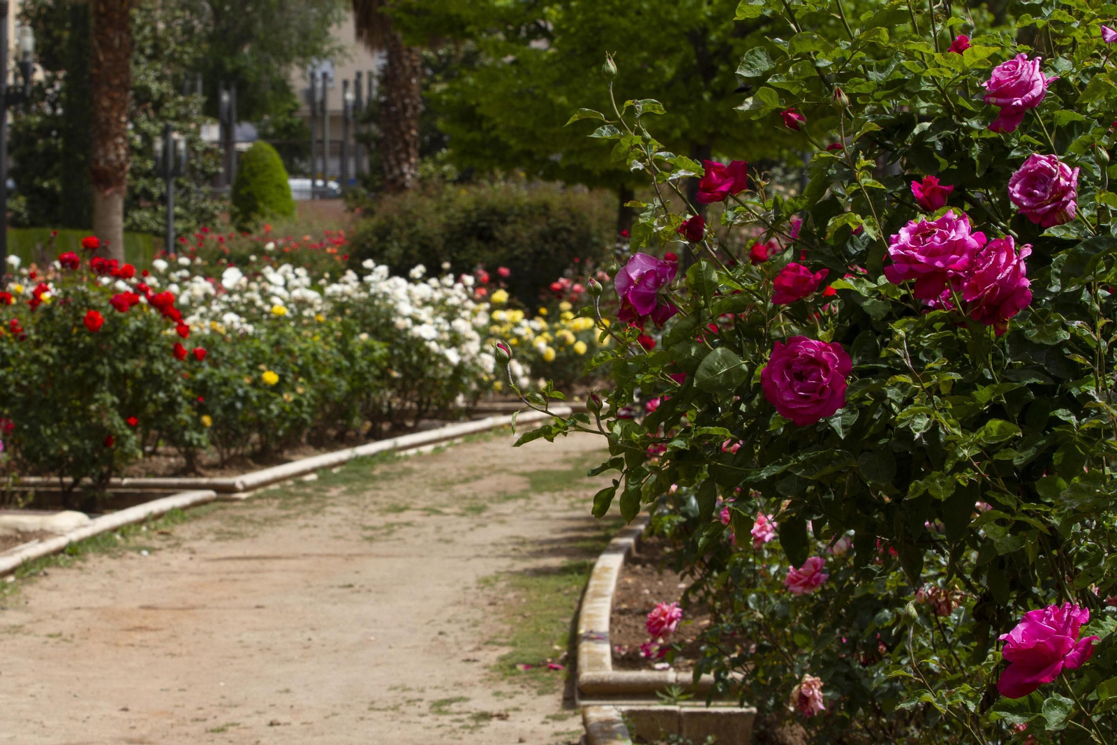 Los parques de Granada, vacíos en pleno estado de alarma
