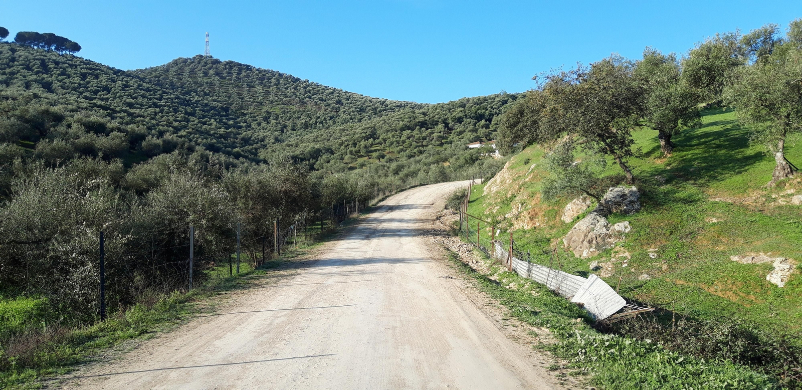 Circular de Las Palomas en La Puebla de los Infantes