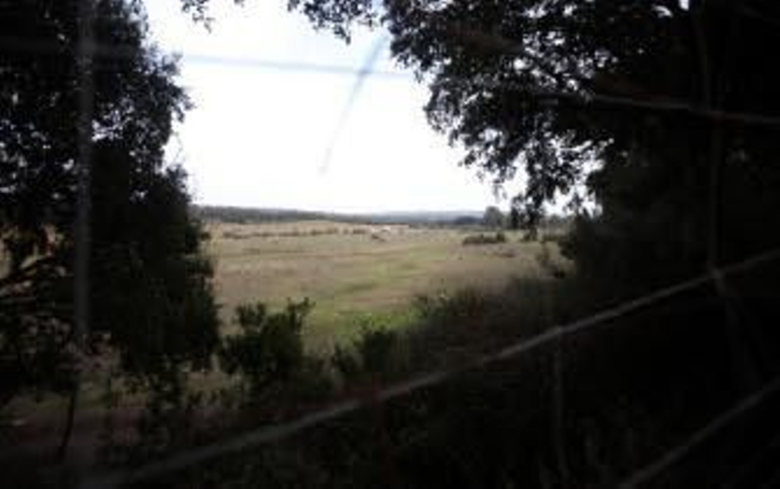 Vista general de uno de los parajes de la finca pública La Almoraima./Andrés Carrasco