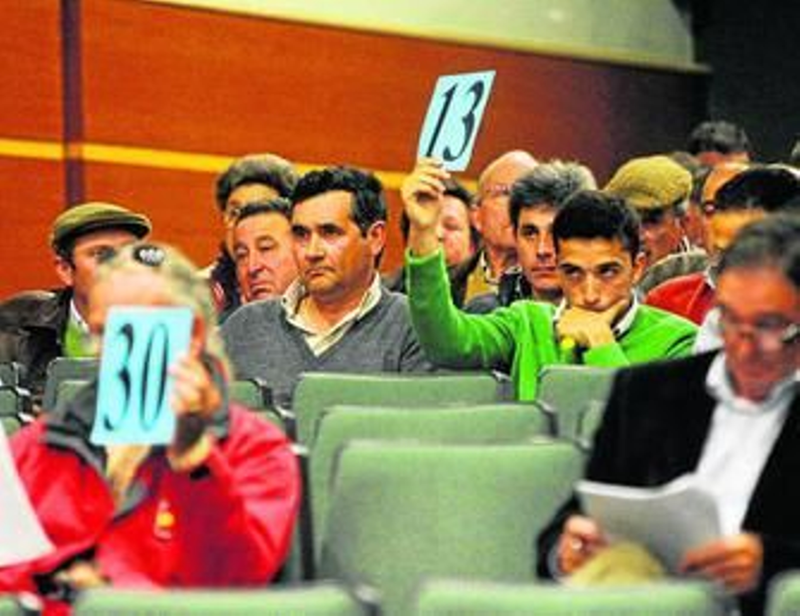 Instante de una de las subastas celebradas ayer en Pozoblanco.
