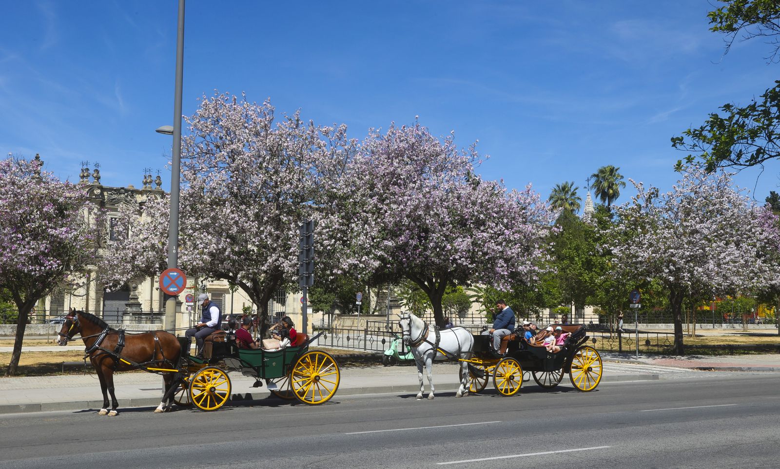 Primavera en Sevilla