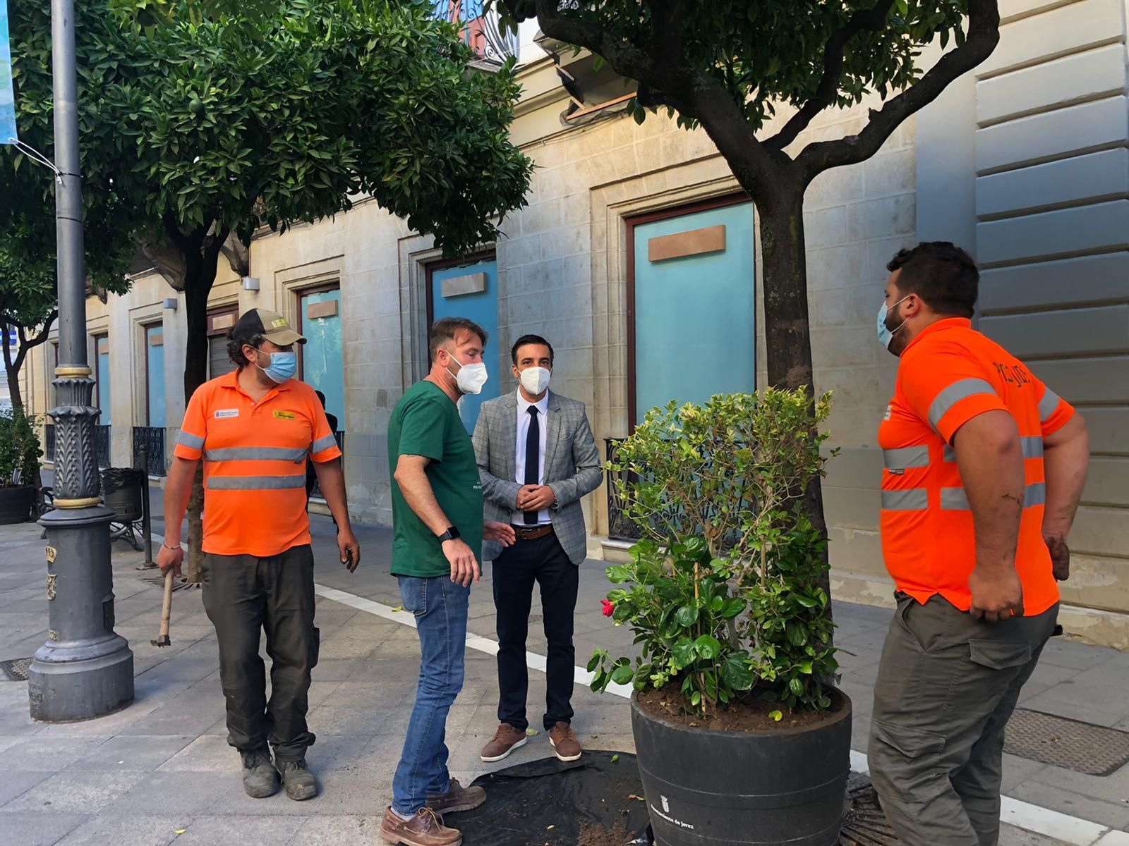 El teniente de alcaldesa José Antonio Díaz contempla una de las jardineras.