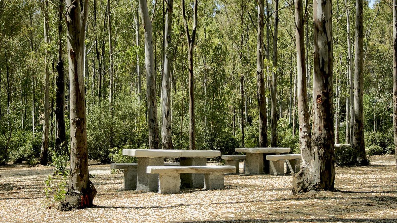 Las Aguilillas-Las Guareñas se caracteriza por ser una ruta muy familiar