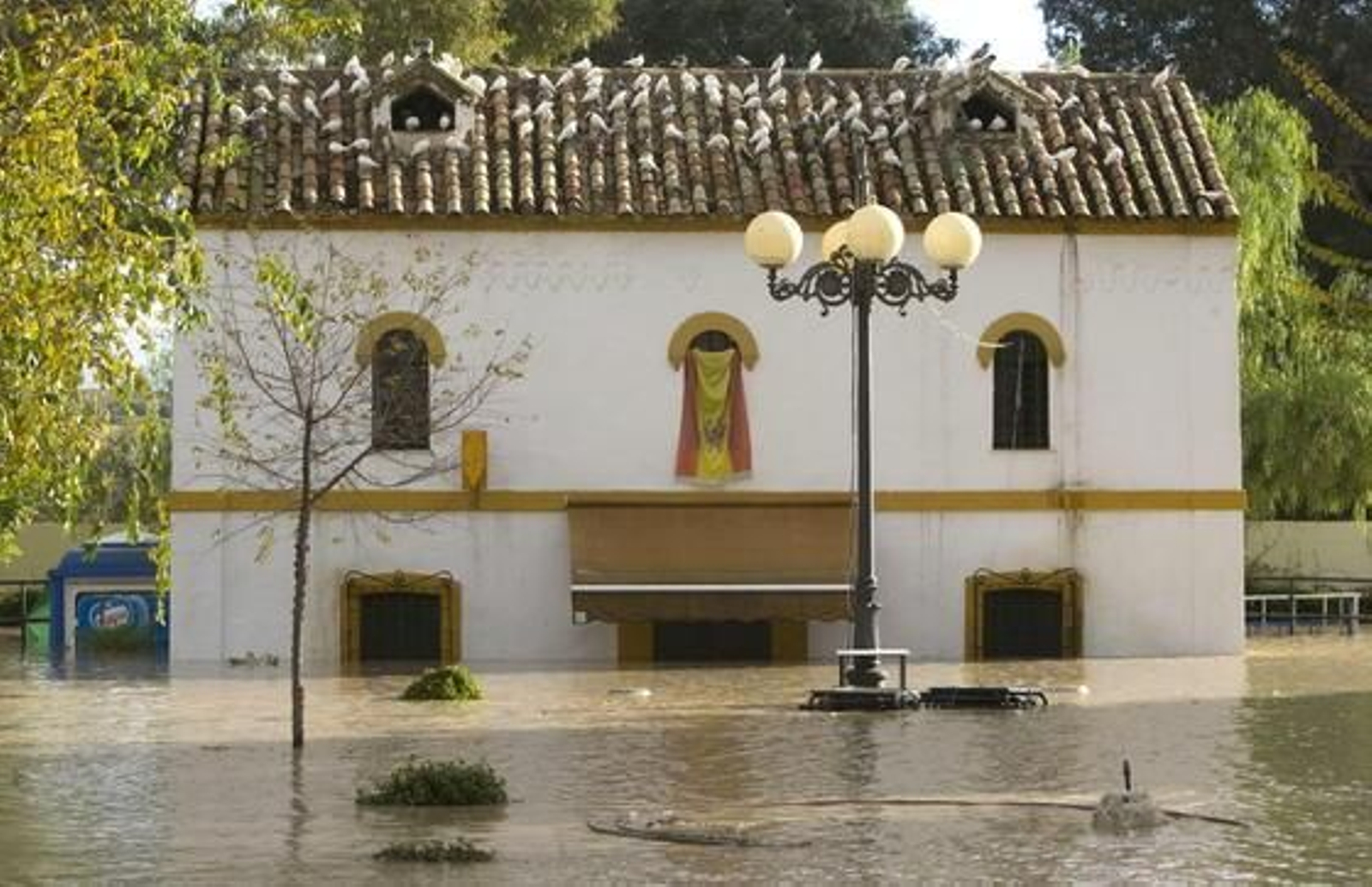 Las lluvias provocan la inundación del casco histórico de Écija.

Foto: Juan Ferreras (EFE)