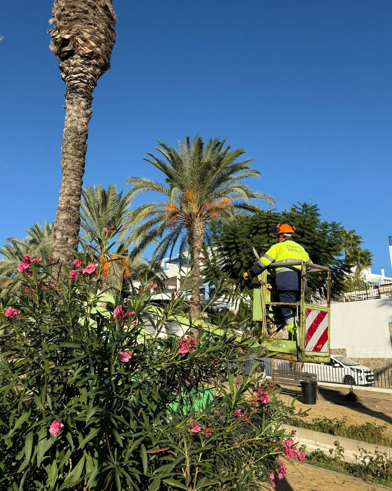Un técnico municipal realiza labores de desbroce y mantenimiento en las zonas verdes mojaqueras.