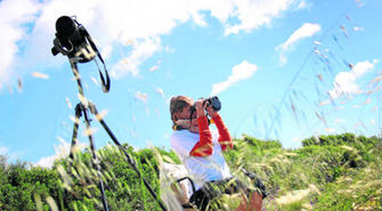 El avistamiento de aves es una actividad que puede realizarse con equipamiento sencillo y un adecuado comportamiento medioambiental.