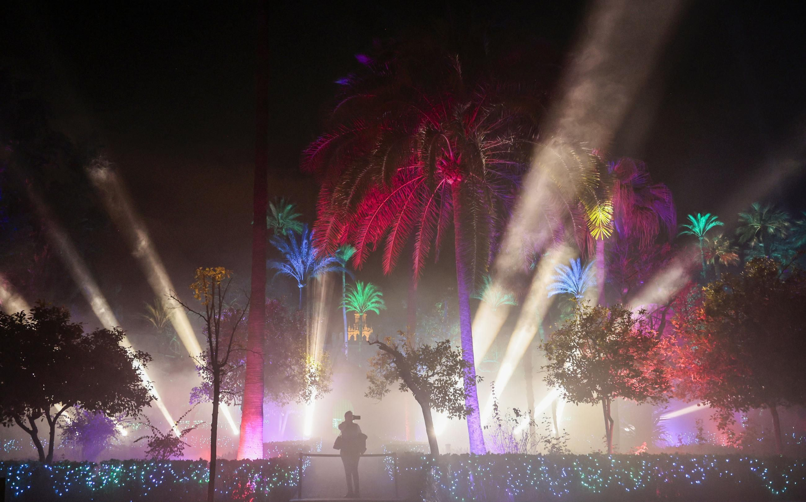 Las imágenes de un paseo por Naturaleza Encendida