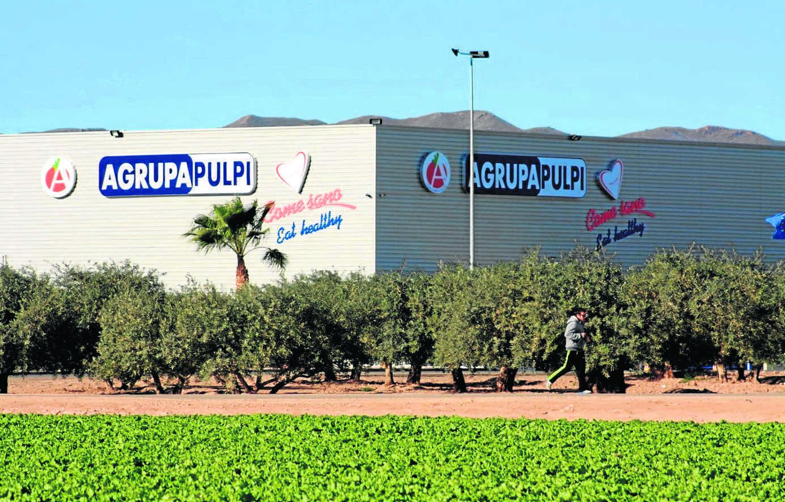 Agrupapulpí, cuatro décadas dedicadas al campo.