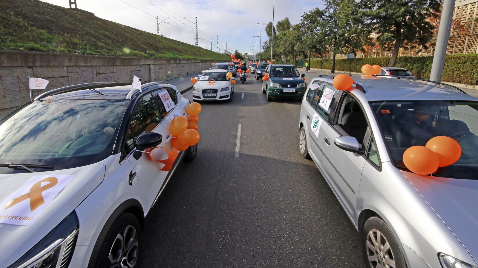 Imágenes de la manifestación en vehículos contra la Ley Celaá en Jerez