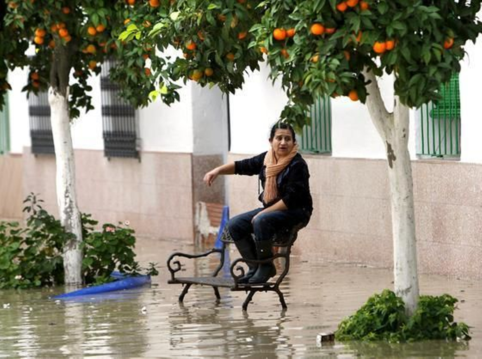 El Río Guadalquivir se desborda a su paso por Lora del Río.

Foto: Eduardo Abad (EFE)