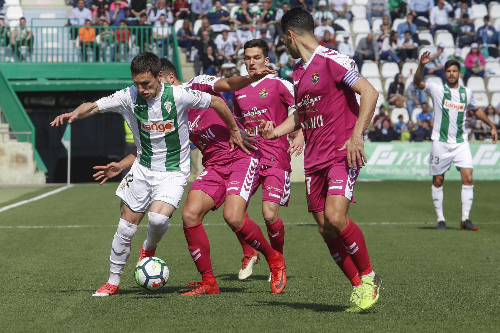 Las imágenes del Córdoba-Valladolid