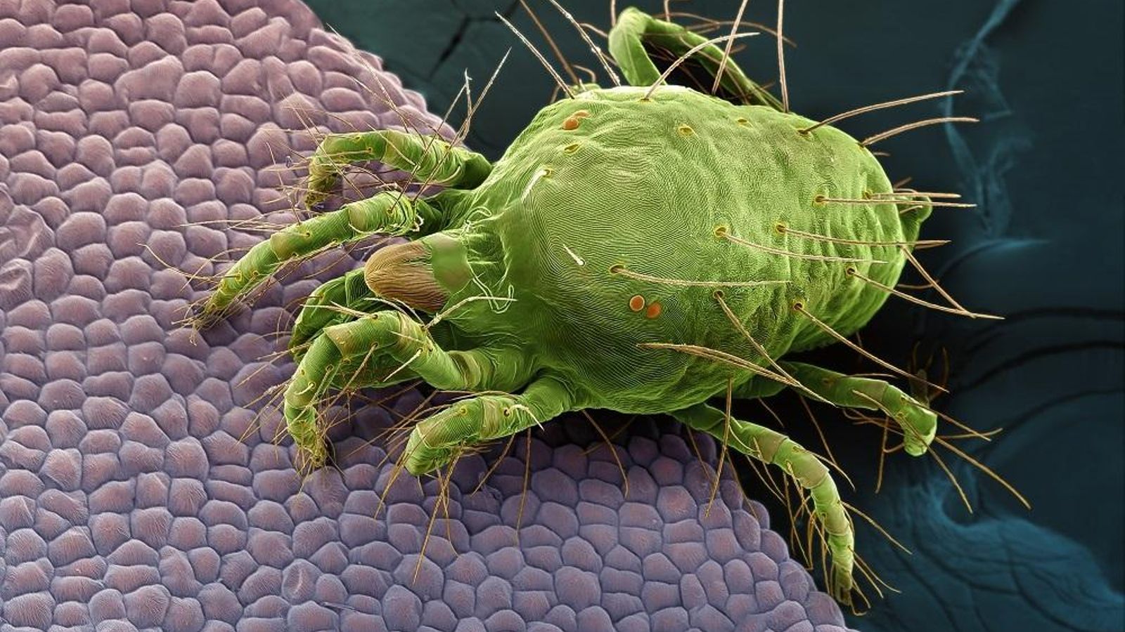 ‘Interacciones ocultas’.