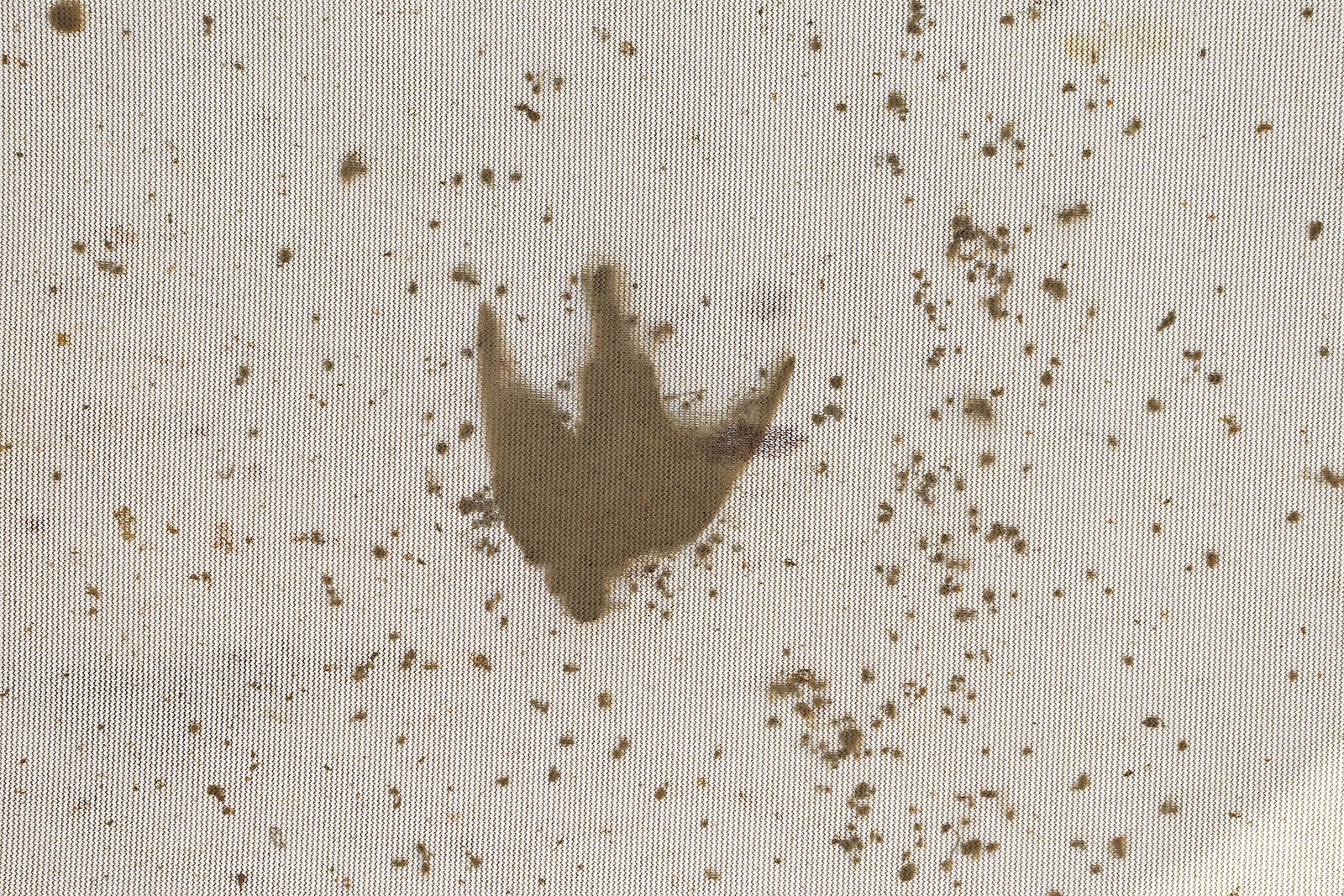 Imágenes del lunes 23 de septiembre en Huelva