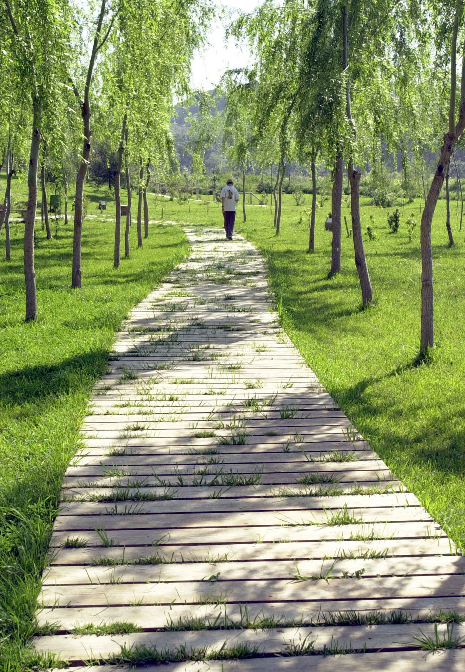 Corredor verde del Guadiamar.