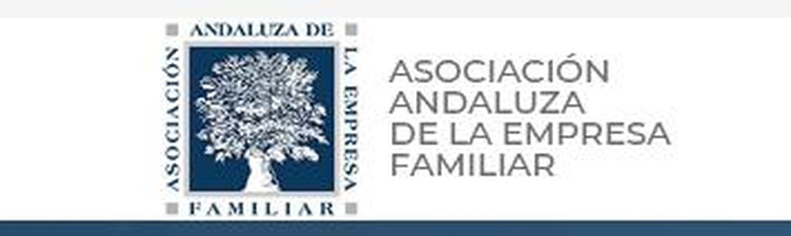Imagen de la Asociación Andaluza de la Empresa Familiar.