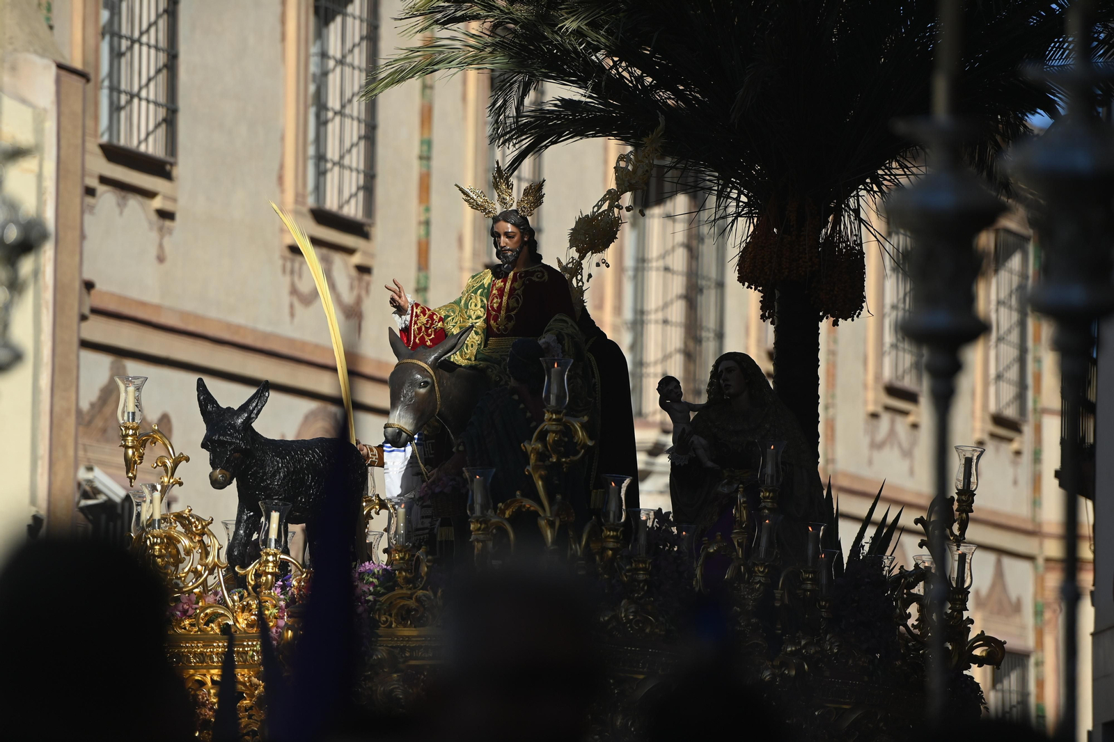 Las fotos de Pollinica en su procesión del Domingo de Ramos en Málaga