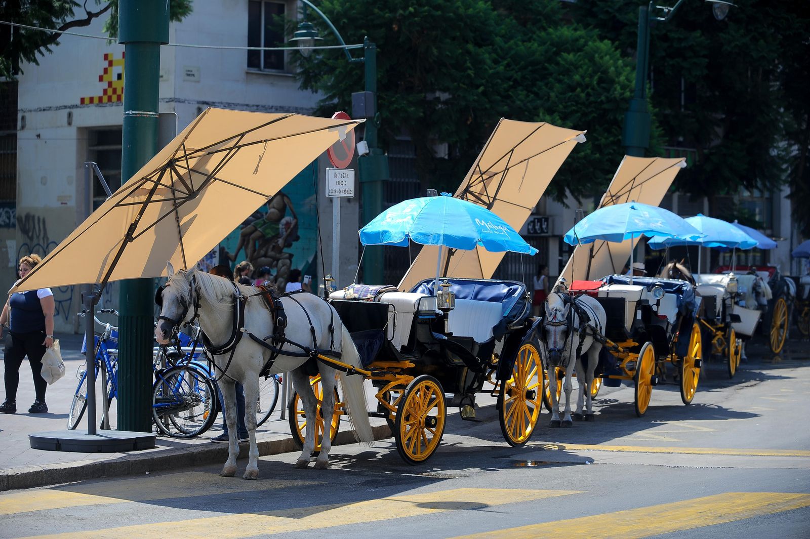 Las sombrillas ya están instaladas en la Plaza de la Marina.