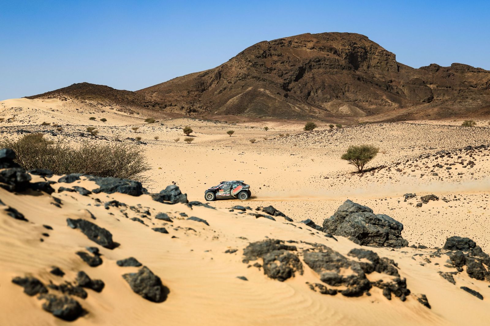 Las mejores fotos del Rally Dakar | undécima etapa