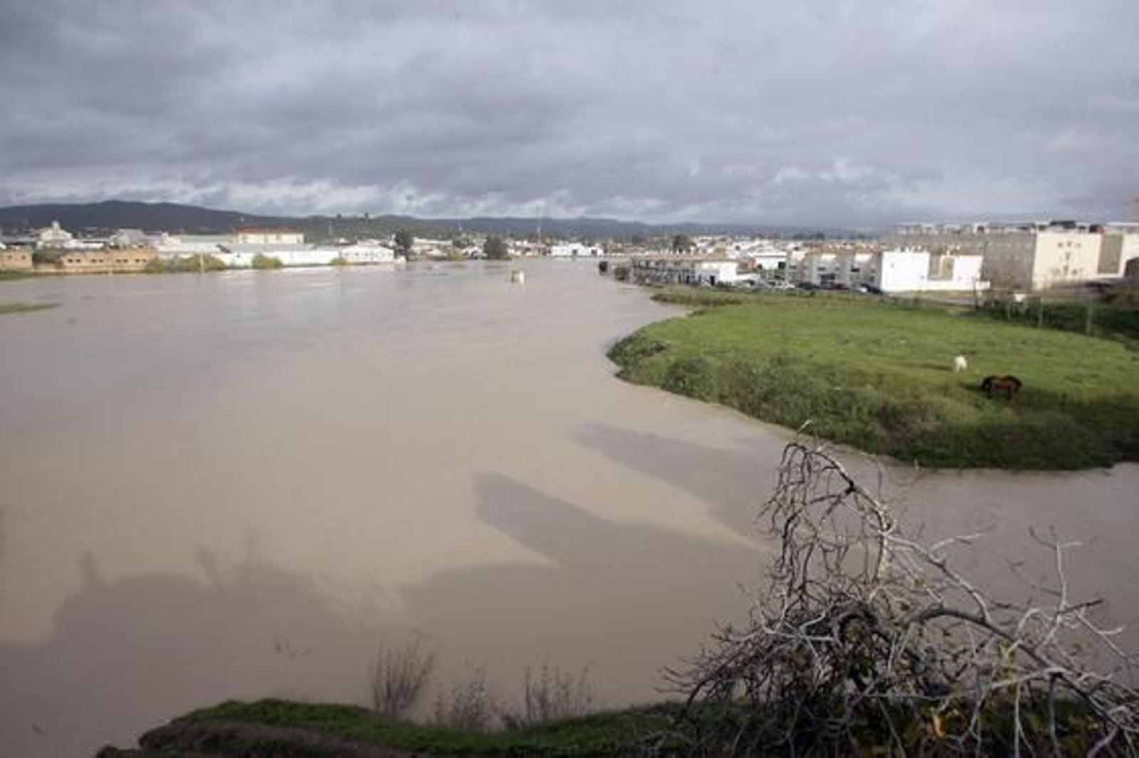 El Río Guadalquivir se desborda a su paso por Lora del Río./ J.C Muñoz