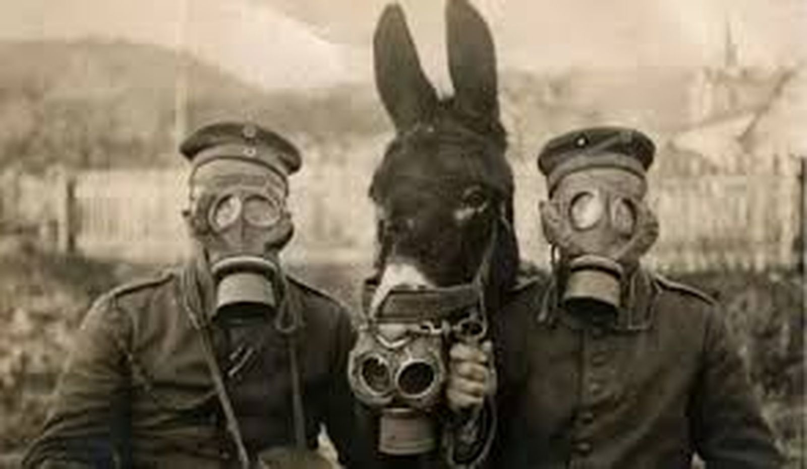 ‘Los últimos días de la humanidad’ y otros libros.