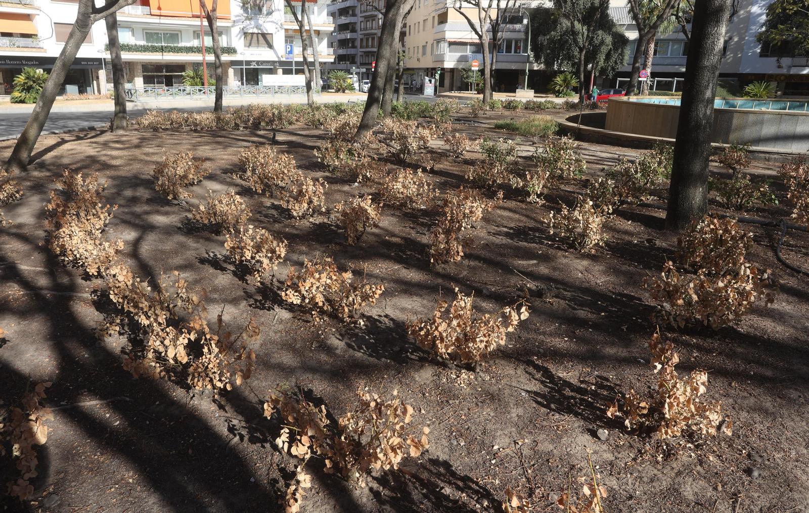 El barrio de Los Remedios, se seca