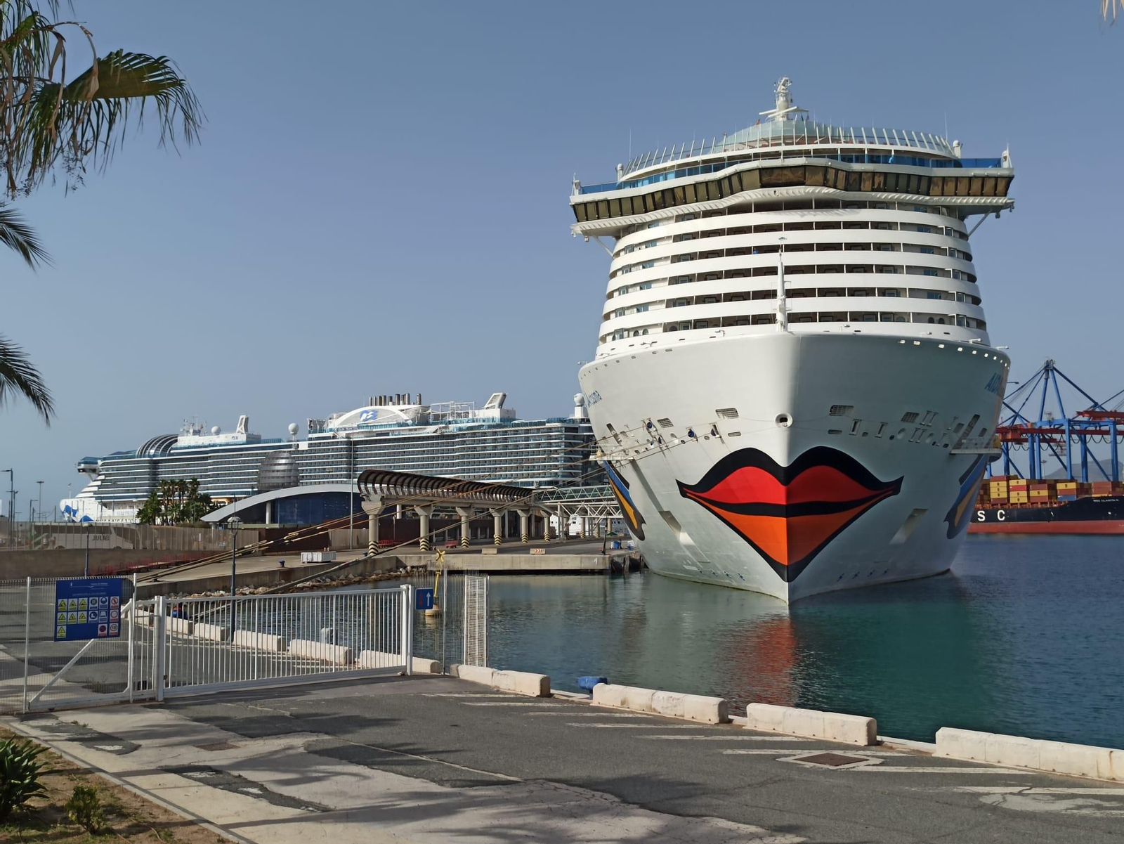 'AIDAcosma' y 'Sun Princess' en el puerto de Málaga.