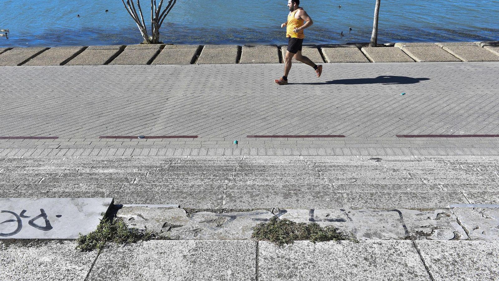Desperfectos en el entorno del río
