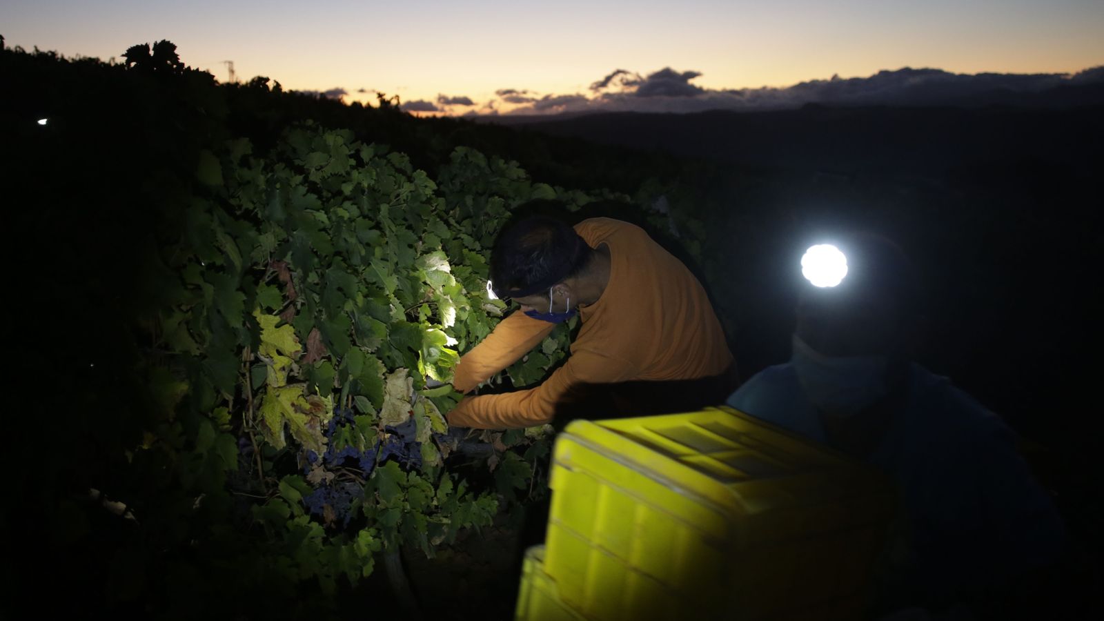 Los trabajos se inician en plena noche