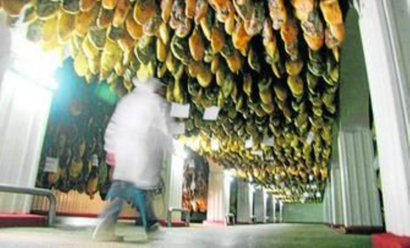 Un operario se dispone controlar el estado de los jamones en un secadero.