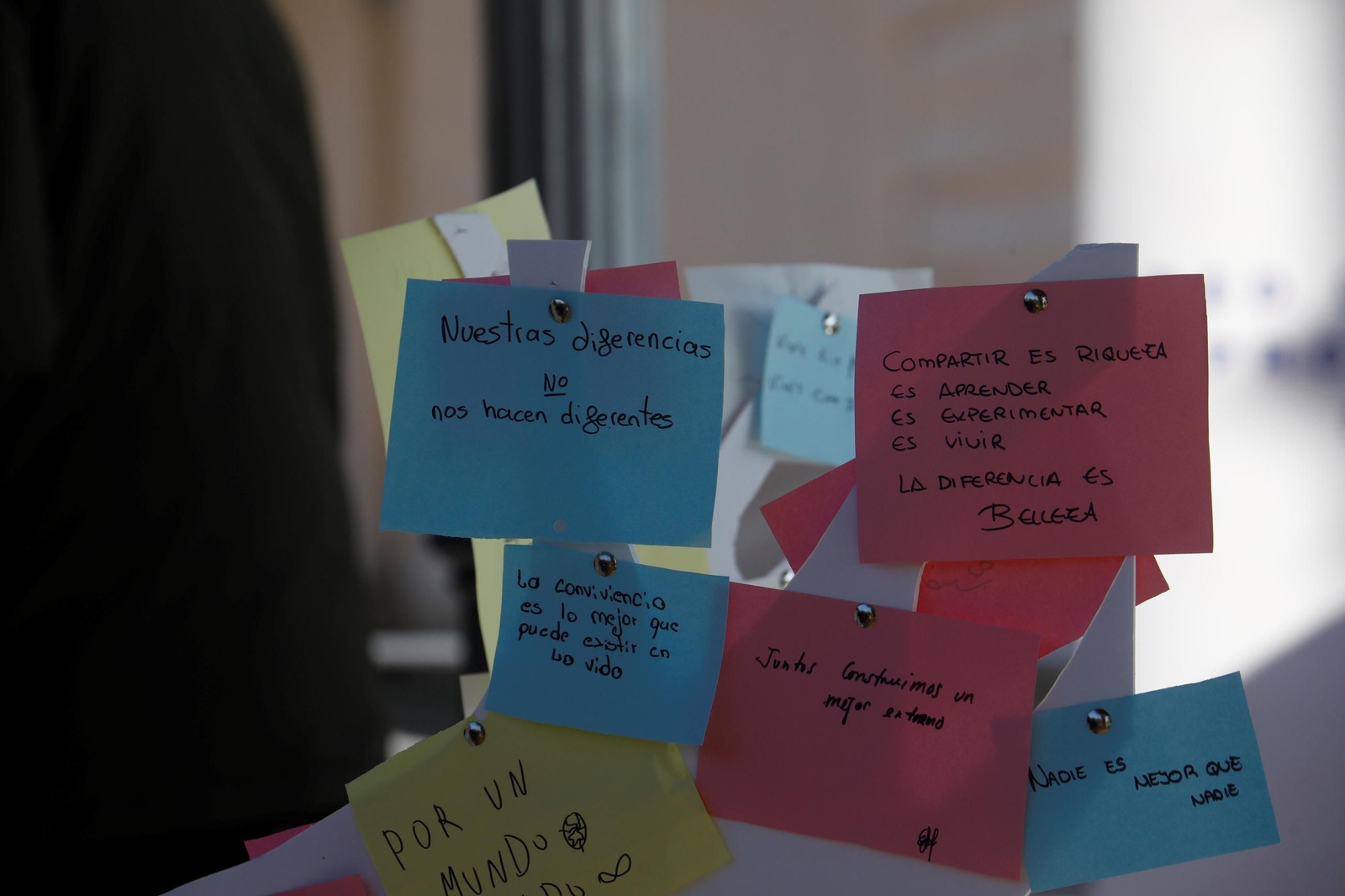 La celebración en Córdoba del Día Internacional de las Personas Migrantes, en imágenes