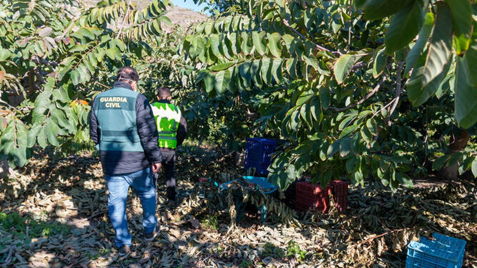 Dos agentes del Grupo Roca de Motril en una operación de archivo