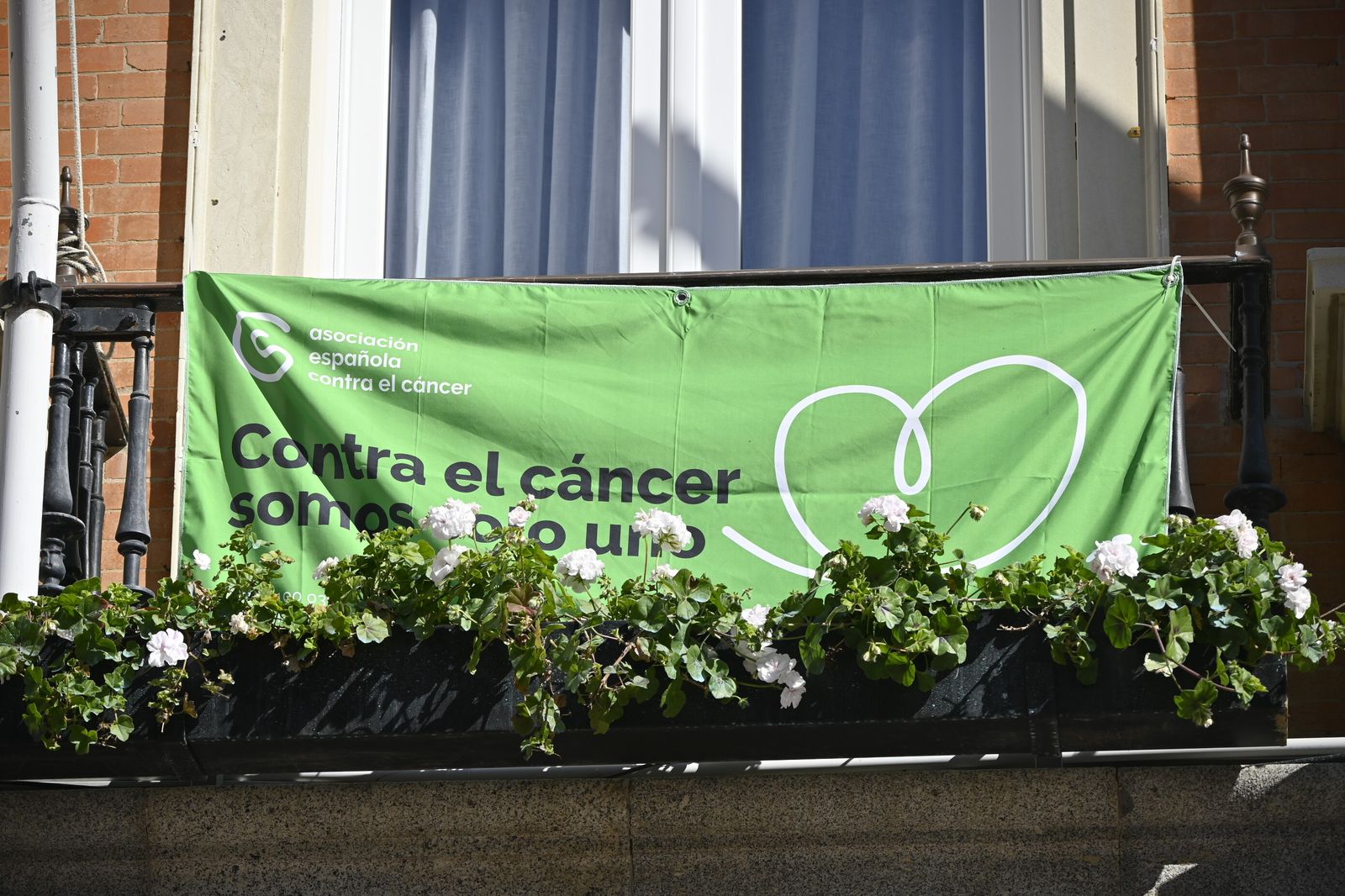 Imágenes de la lectura del llamamiento, del Día Mundial contra el Cancer.