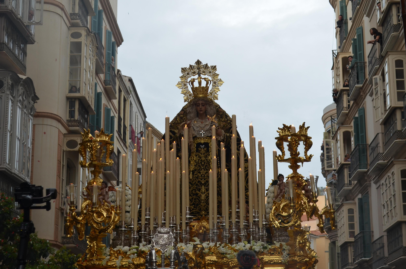 Viñeros en su procesión del Jueves Santo de Málaga, en fotos