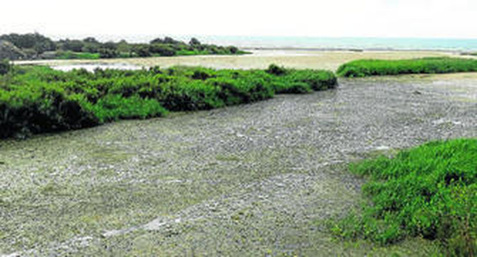 Balsas de aguas negras con espumas en el paisaje costero de la desembocadura del Río Almanzora.