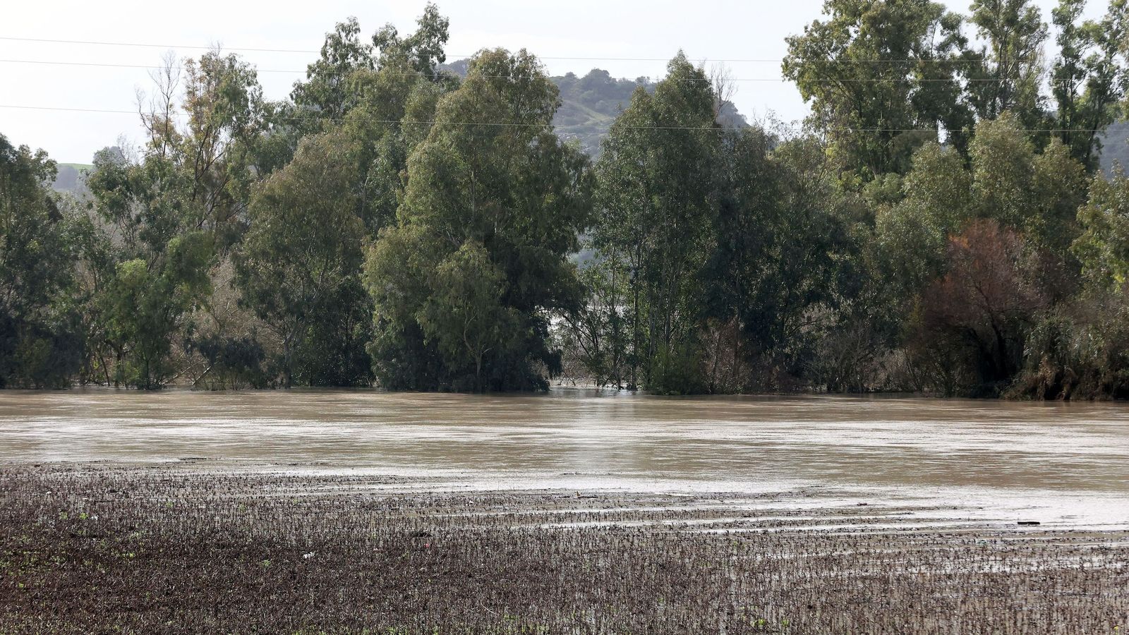 Así afronta la zona rural de Jerez la subida del río Guadalete