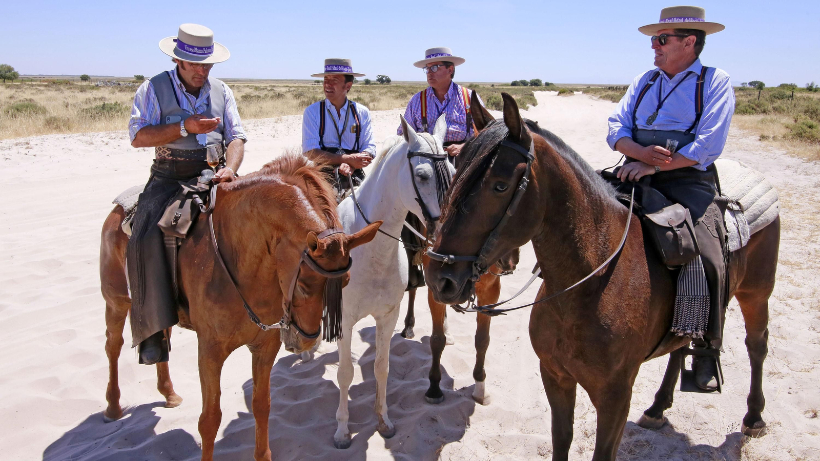 Imágenes de pasadas romerías de la Hdad de Jerez al Rocío