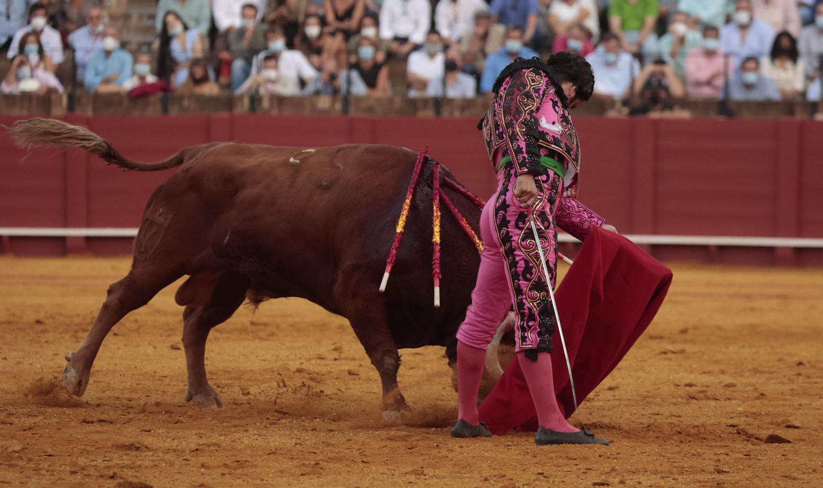Las imágenes del triunfo de Morante en San Miguel