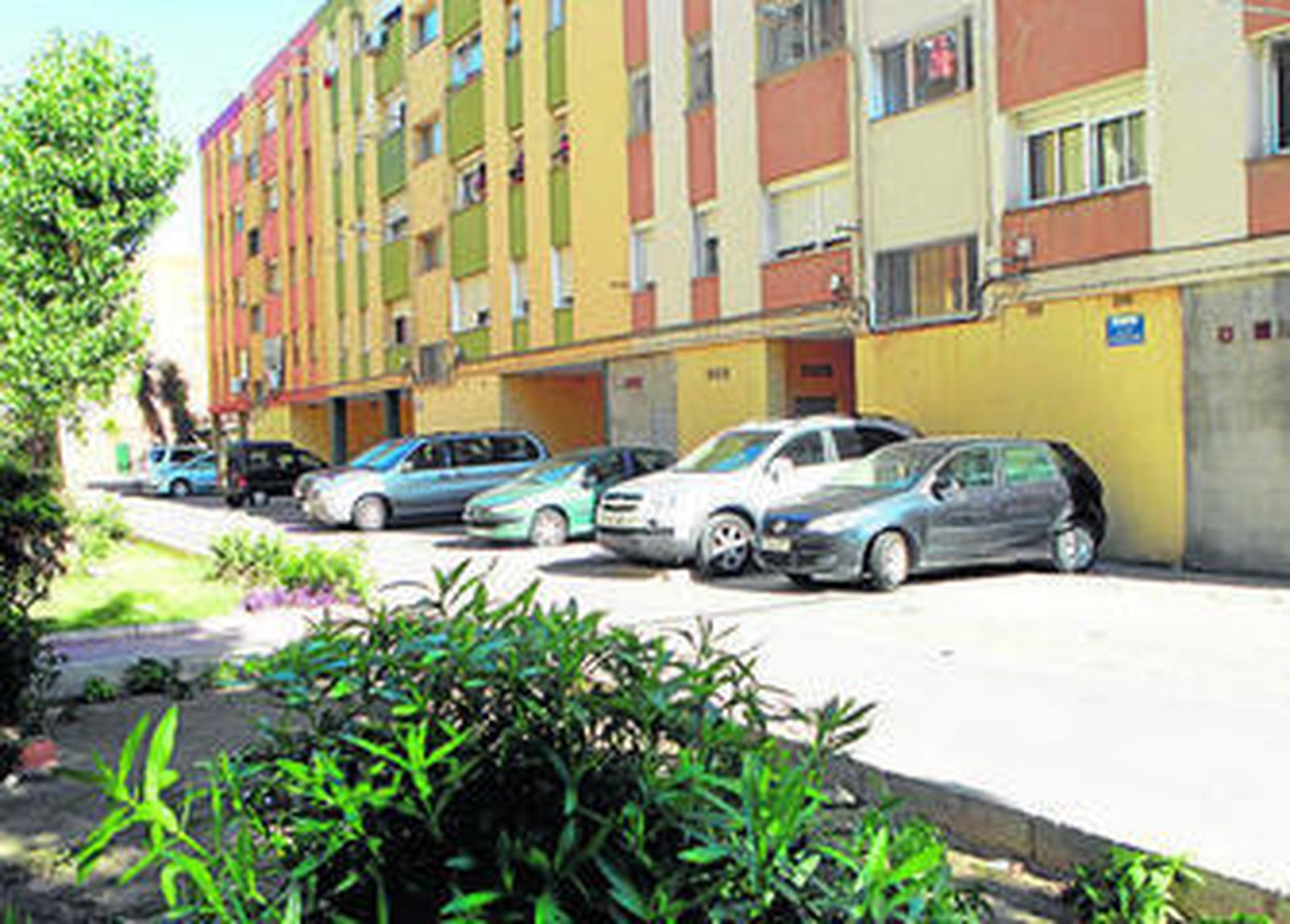 Uno de los jardines que era regado con estos grifos ilegales.