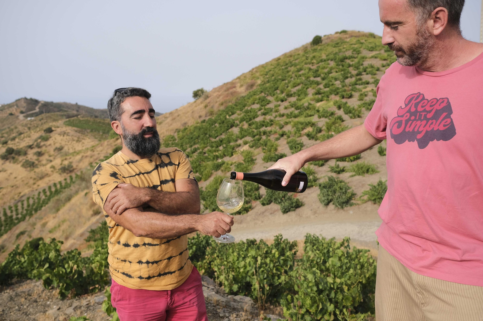 La vendimia de la Axarquía, en fotos