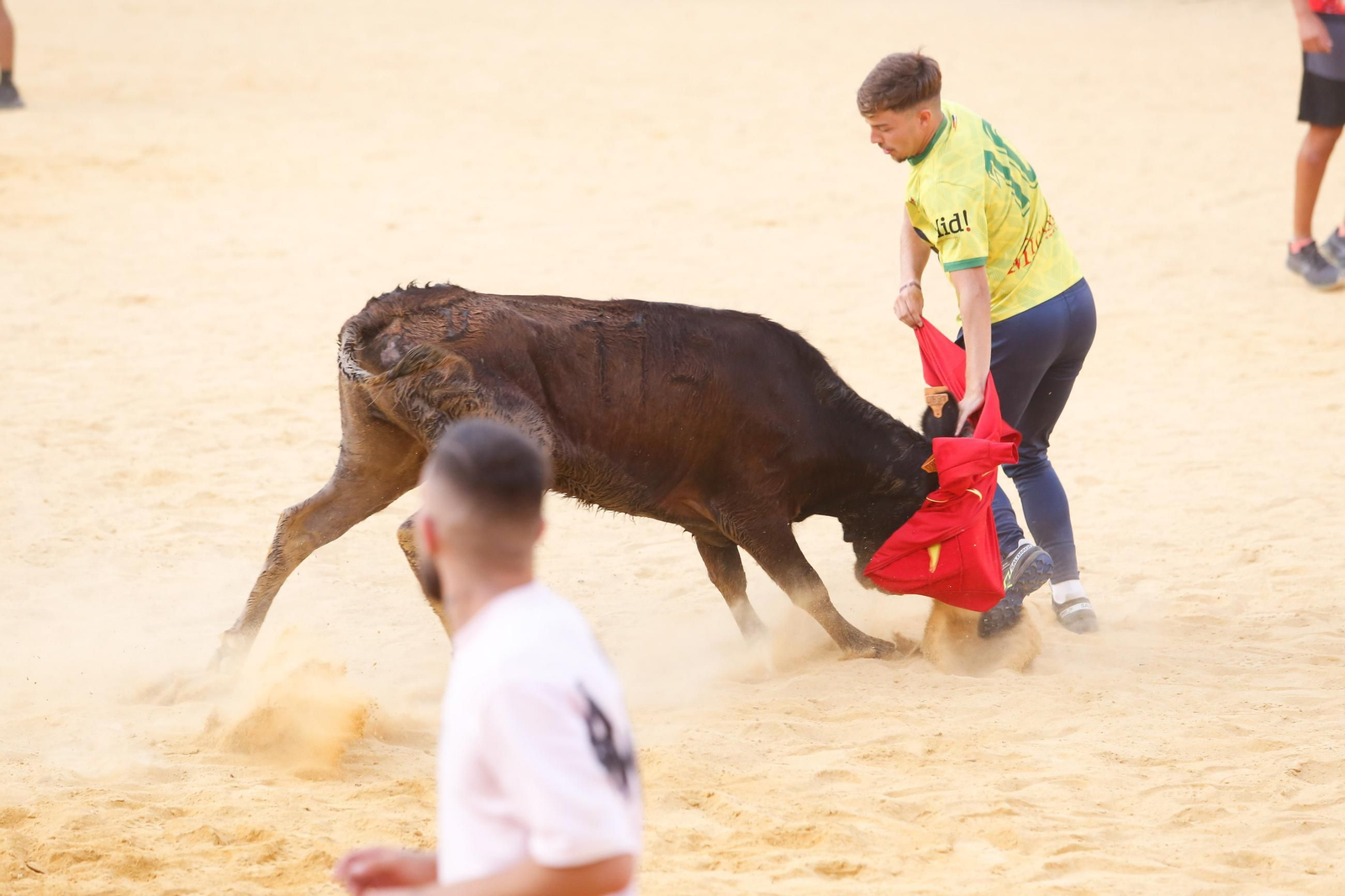 Fotos del Toro del Aguardiente en San Roque