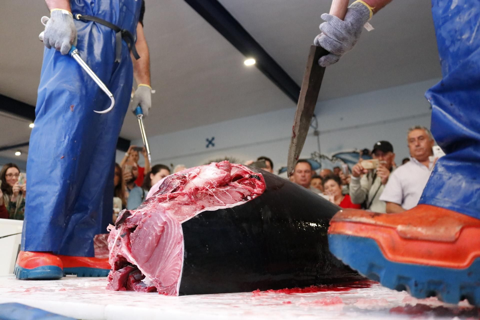 Las mejores fotos de la presentación de la Ruta del Atún en La Línea