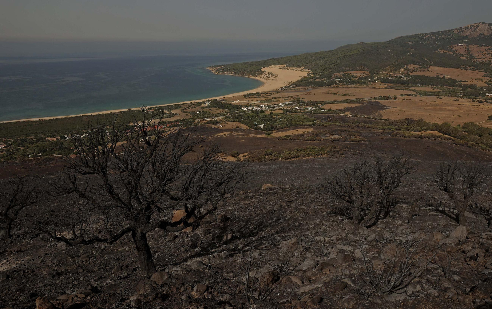 Fotos de los efectos del incendio en el monte de La Peña en Tarifa